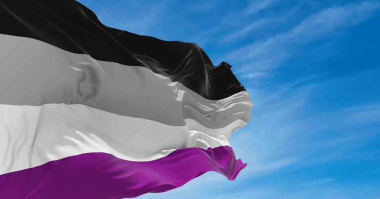 La bandera de las personas asexuales (negro, gris, blanco y morado) ondeando suavemente contra un cielo azul.